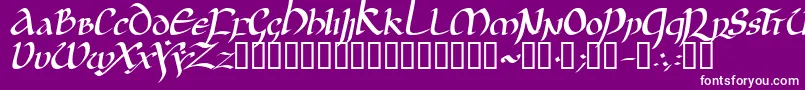 JgjUncialItalic Font – White Fonts on Purple Background