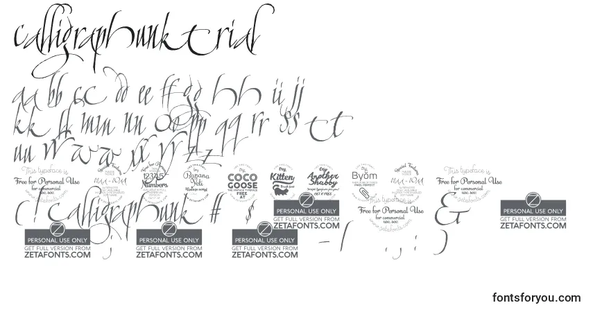 A fonte CalligraphunkTrial – alfabeto, números, caracteres especiais