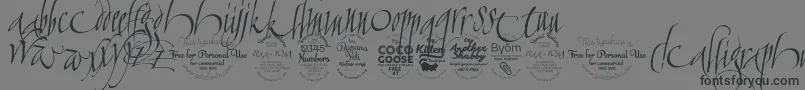 Шрифт CalligraphunkTrial – чёрные шрифты на сером фоне