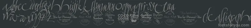 CalligraphunkTrial Font – Gray Fonts on Black Background