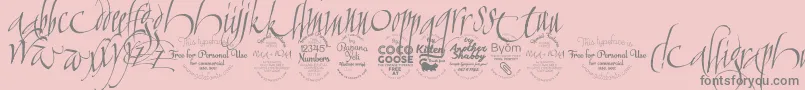 Czcionka CalligraphunkTrial – szare czcionki na różowym tle