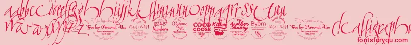 CalligraphunkTrial-Schriftart – Rote Schriften auf rosa Hintergrund
