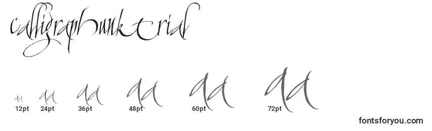 Размеры шрифта CalligraphunkTrial