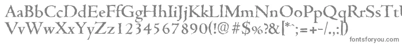 CambridgeantiqueMediumRegular Font – Gray Fonts on White Background