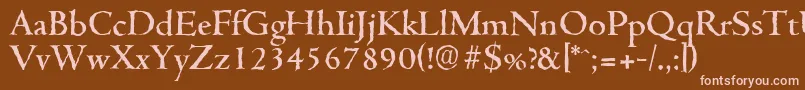 CambridgeantiqueMediumRegular Font – Pink Fonts on Brown Background