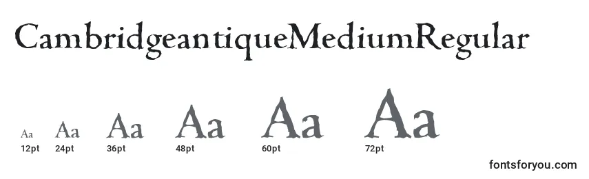 Größen der Schriftart CambridgeantiqueMediumRegular