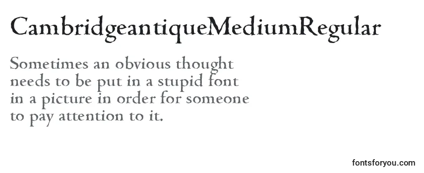 CambridgeantiqueMediumRegular Font