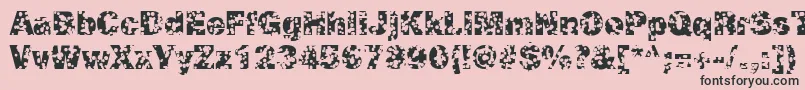 SwissCheeseRegular Font – Black Fonts on Pink Background