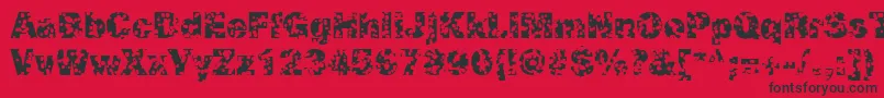 SwissCheeseRegular Font – Black Fonts on Red Background