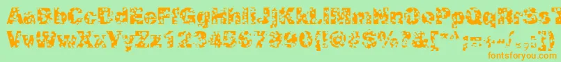 SwissCheeseRegular Font – Orange Fonts on Green Background