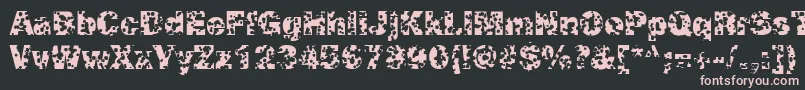 SwissCheeseRegular Font – Pink Fonts on Black Background