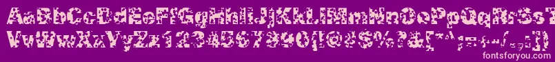 SwissCheeseRegular Font – Pink Fonts on Purple Background