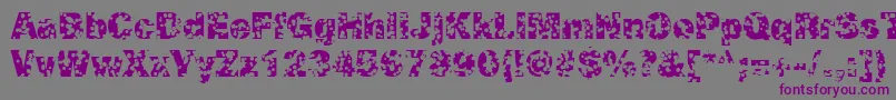 SwissCheeseRegular Font – Purple Fonts on Gray Background