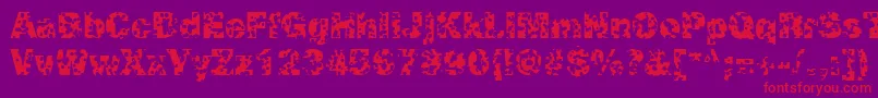 SwissCheeseRegular Font – Red Fonts on Purple Background