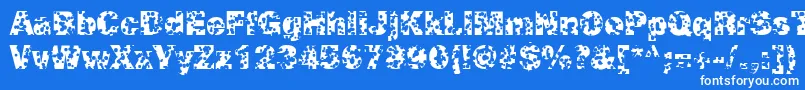 SwissCheeseRegular Font – White Fonts on Blue Background