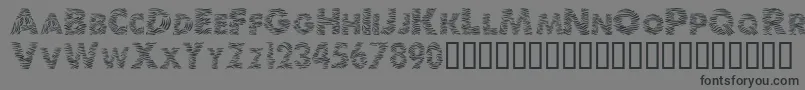 Zebra Font – Black Fonts on Gray Background