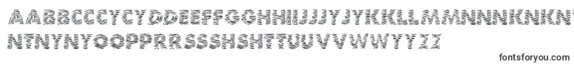 Zebra Font – Kinyarwanda Fonts