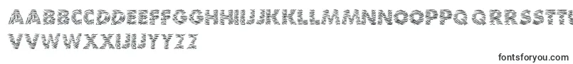 Шрифт Zebra – нидерландские шрифты