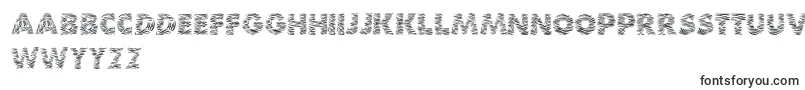 Шрифт Zebra – суахили шрифты