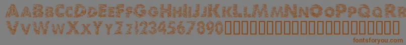 Zebra Font – Brown Fonts on Gray Background