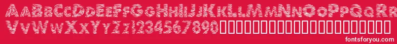 Zebra Font – White Fonts on Red Background