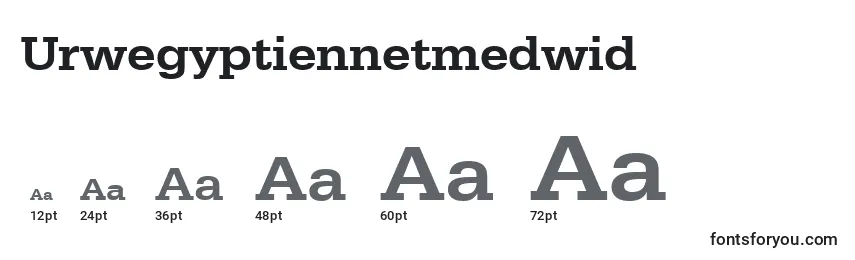 Размеры шрифта Urwegyptiennetmedwid