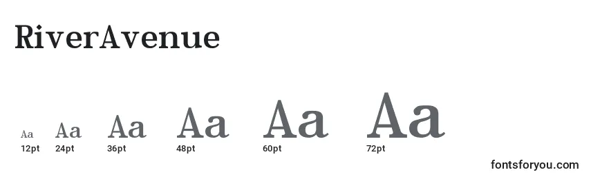 RiverAvenue Font Sizes