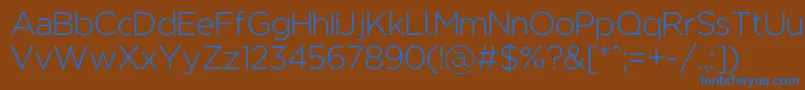 Regencielight Font – Blue Fonts on Brown Background