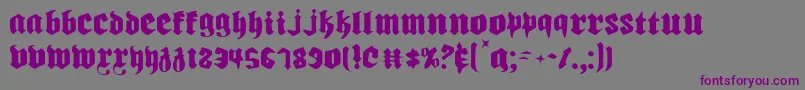 Biergartenlt Font – Purple Fonts on Gray Background