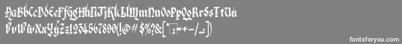 フォントVeronaGothic – 灰色の背景に白い文字