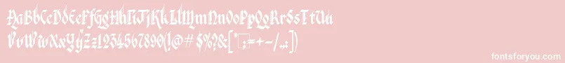 フォントVeronaGothic – ピンクの背景に白い文字