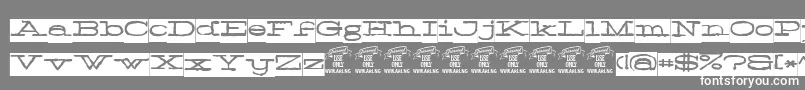 Normaleblackpersonaluse-Schriftart – Weiße Schriften auf grauem Hintergrund
