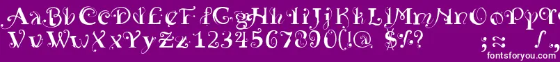 YedraPurpurea Font – White Fonts on Purple Background