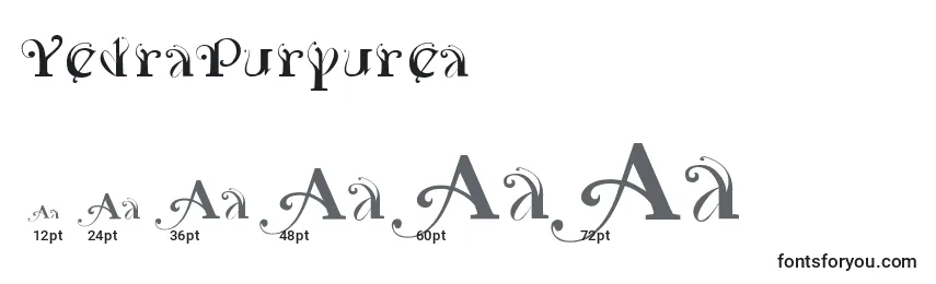 Размеры шрифта YedraPurpurea