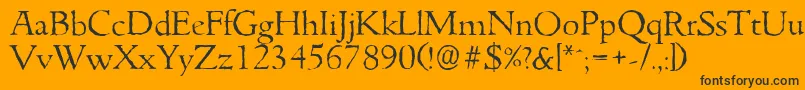 GouditaantiqueLightRegular Font – Black Fonts on Orange Background