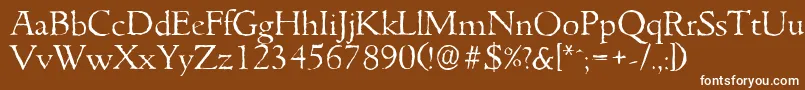 GouditaantiqueLightRegular Font – White Fonts on Brown Background