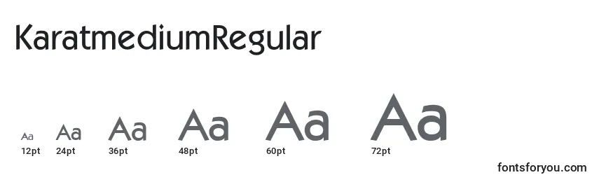 Размеры шрифта KaratmediumRegular