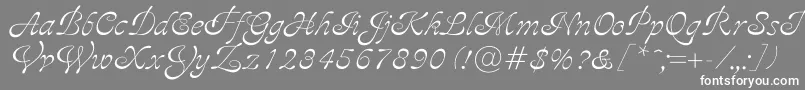 Ajile Font – White Fonts on Gray Background