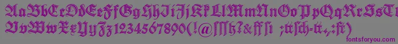 Dszierschrift Font – Purple Fonts on Gray Background
