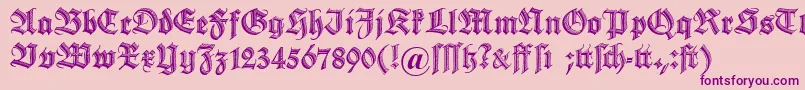 Dszierschrift Font – Purple Fonts on Pink Background