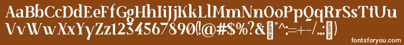 SenzabellaBold-fontti – valkoiset fontit ruskealla taustalla