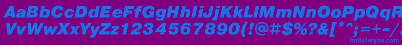 PragmaticaBlackOblique Font – Blue Fonts on Purple Background