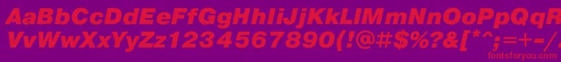 PragmaticaBlackOblique Font – Red Fonts on Purple Background