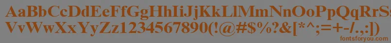 TimesNrCyrMt120b Font – Brown Fonts on Gray Background