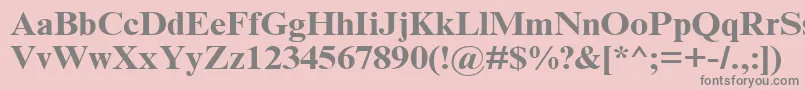 フォントTimesNrCyrMt120b – ピンクの背景に灰色の文字