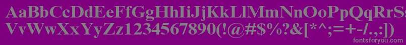 フォントTimesNrCyrMt120b – 紫の背景に灰色の文字