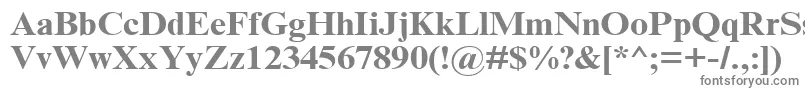 フォントTimesNrCyrMt120b – 白い背景に灰色の文字