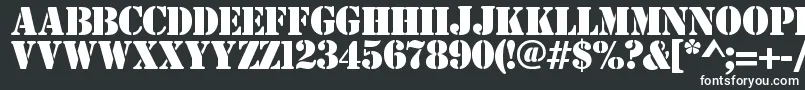 Estensil Font – White Fonts