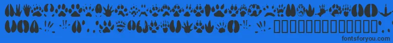 Animaltracks Font – Black Fonts on Blue Background