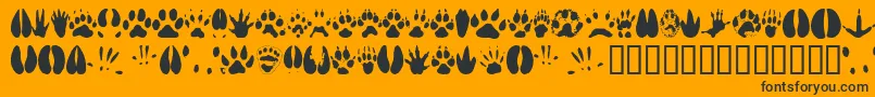 Animaltracks Font – Black Fonts on Orange Background